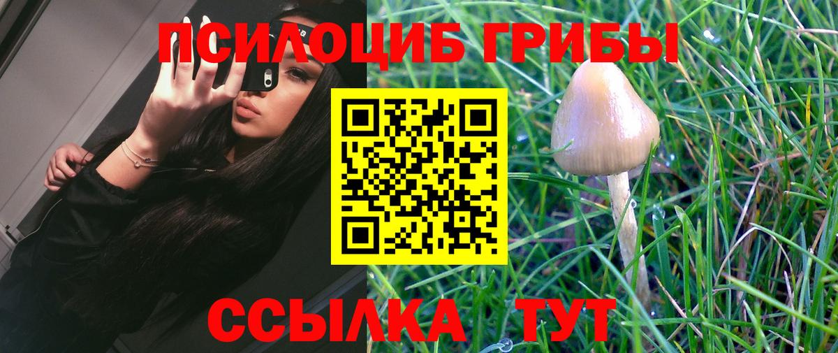 Псилоцибиновые грибы GOLDEN TEACHER  Галлюциногенные грибы Cubensis  Ревда  Вход с VPN 
